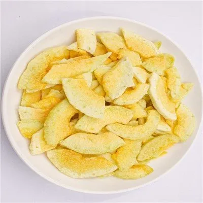 Vacuum Fried Cantaloupe Chips